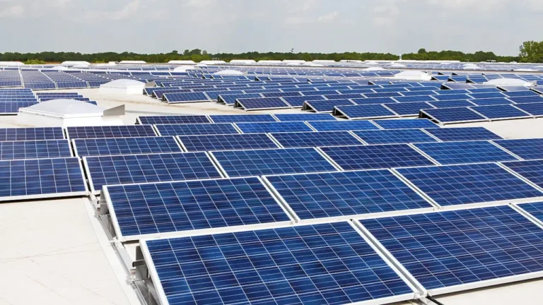 How to Register for Punjab Free Solar Panel Scheme: Latest Update 2025